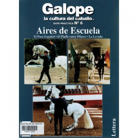 LIBRO: GUÍA DE ESCUELA Nº6