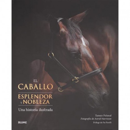 LIBRO: EL CABALLO ESPLENDOR Y NOBLEZA (BLUME)